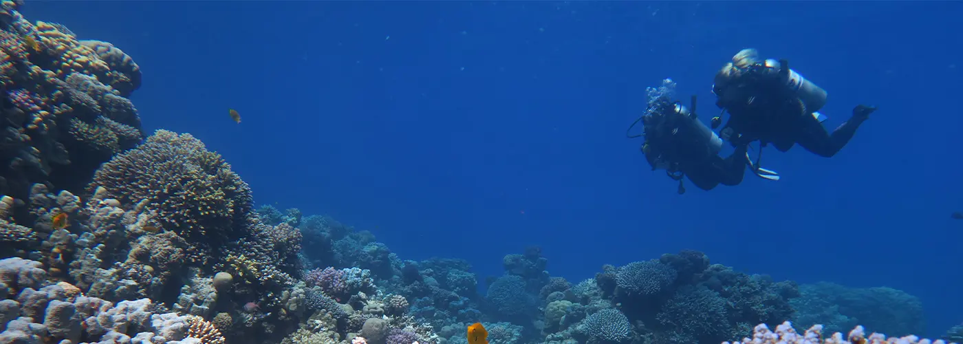 Egypt International Diving